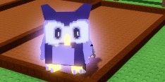 Shocked Night Owl