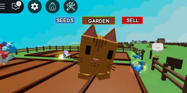 Huge Orange Tabby 15Kg - Grow A Garden