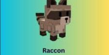 Raccoon | Grow a Garden