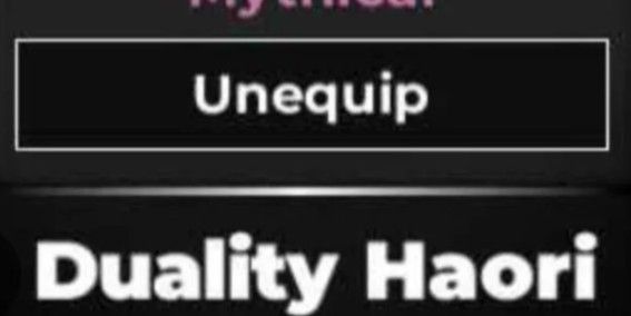 Duality Haori