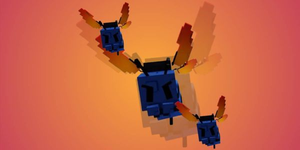 tarantula hawk • grow a garden