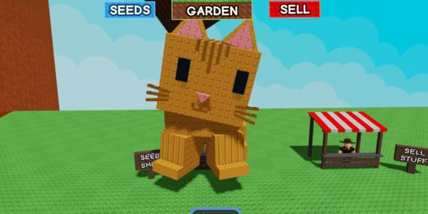 Huge Orange Tabby 30Kg - Grow A Garden