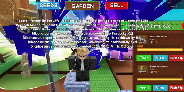 Service de leveling pour animal de compagnie