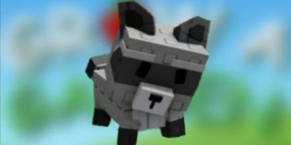 RACCOON | DIVINE | MUTATED