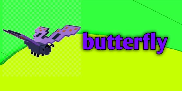 butterfly