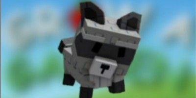 Raccon Big