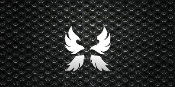 joki race angel v3