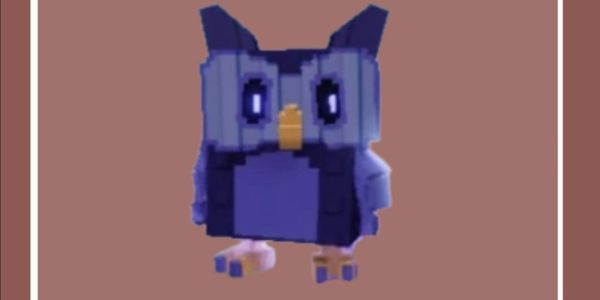 Night Owl
