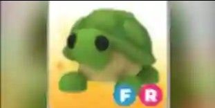 Turtle