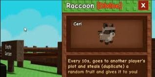 Raccoon