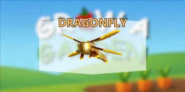 Dragonfly