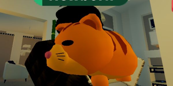 Ginger cat (gemoy)