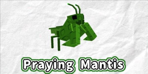 Praying Mantis - grow a garden