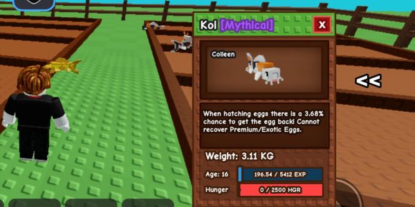 Koi Lapar / Koi 0 Hunger