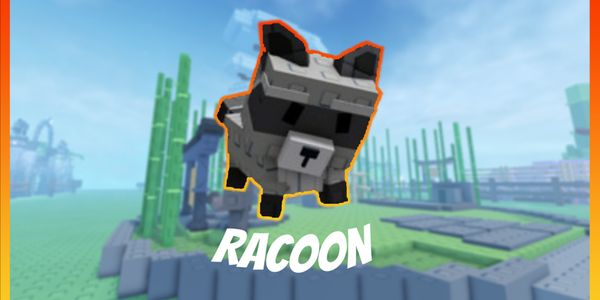 Racoon | Grow A Garden Bonus Random Pet