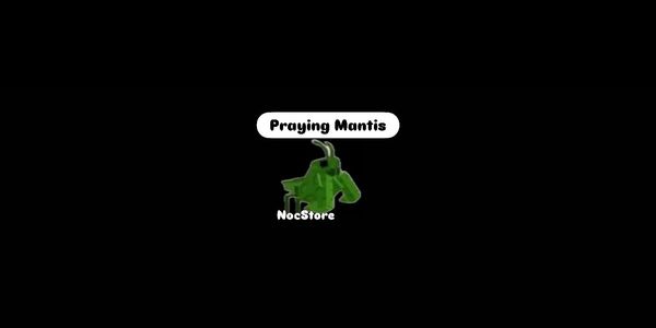 Praying Mantis - Grow A Garden