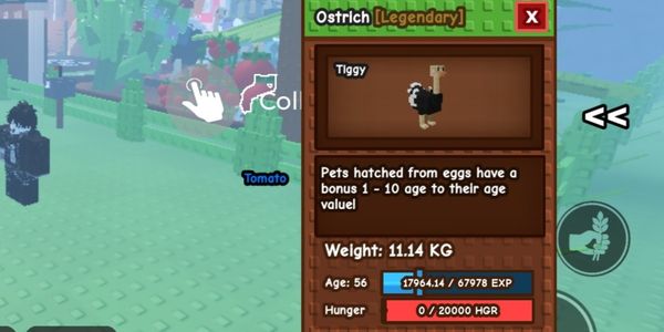 Ostrich Passive 1-10