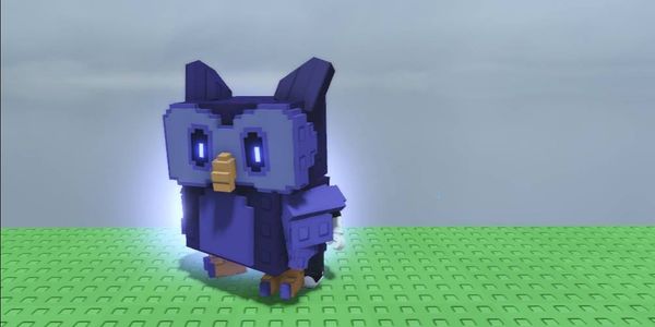 Night Owl Grow A Garden