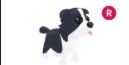 Border Collie R > pet Adopt me