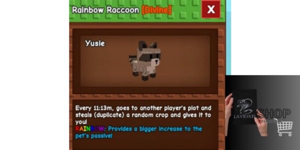 Rainbow Raccoon – Grow A Garden | Lavioxelshop