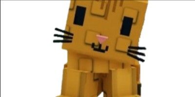 orange tabby