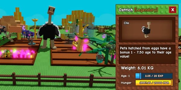 HUGE OSTRICH