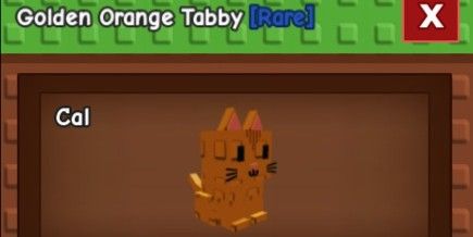 GOLDEN TITAN ORANGE TABBY 61KG