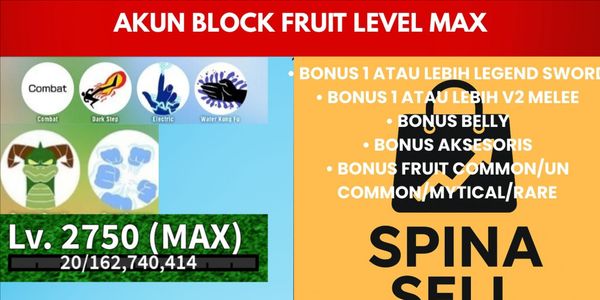 Blox Fruit Max Level Account