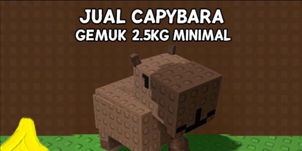 FAT CAPYBARA MINIMUM BASE 2.5KG