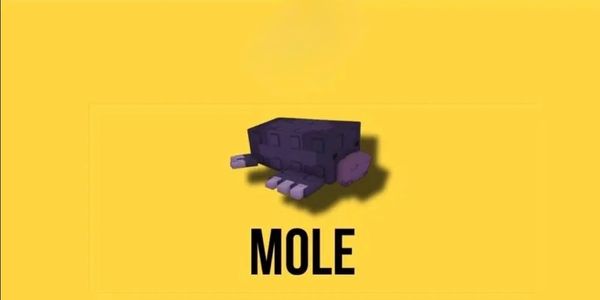 Mole