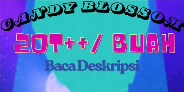 15 CANDY BLOSSOM + BONUS