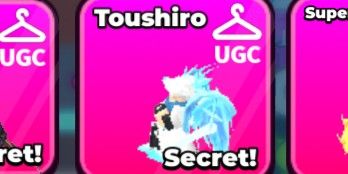 Toushiro (Secret) | Steal Anime!