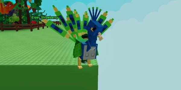 Peacock Grow A Garden