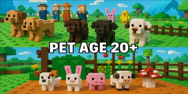 Pet Age 20+ | Random