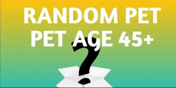 Pet Age 45 (Upgrade Pet/Egg slot)
