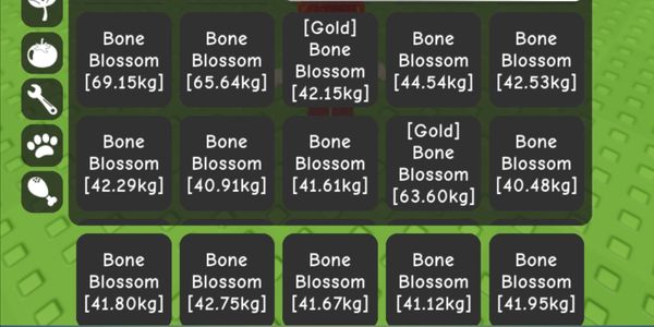 Bone Blossom Fruit 40kg+ Random For Cooking Event | Grow A Garden