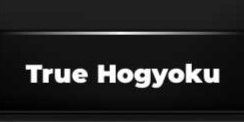 TRUE HOGYOKU - TYPE SOUL