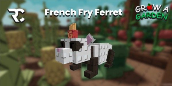 French Fry Ferret | Grow a Garden