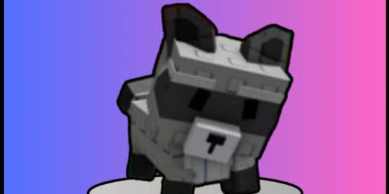 Raccoon {Devine}