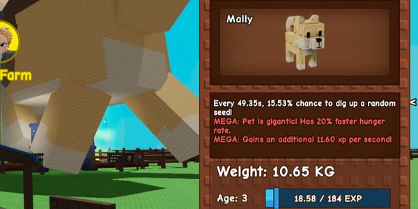 Mega Titan Shiba Inu Très Grand