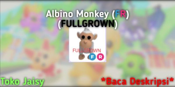 FR Albino Monkey Full Grown