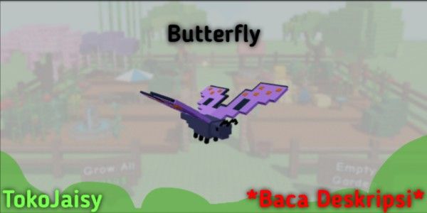 Butterfly