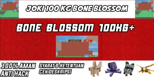 JOKI 100KG+ FRUIT | GROW A GARDEN