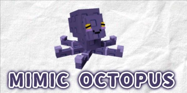 Mimic Octopus | Octopus Mimic