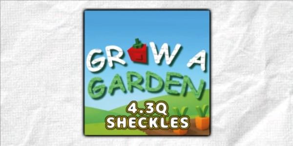 4.3QD Sheckles | 4300T Sheckles | 4.3QD Sheckels