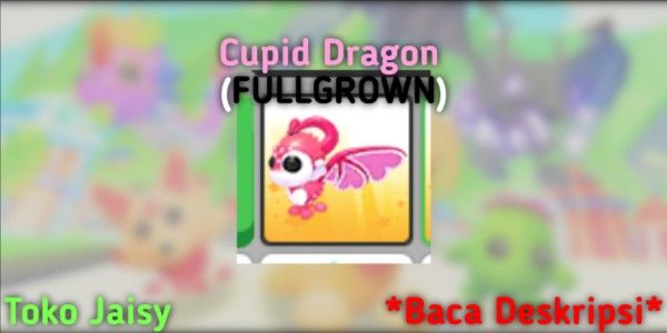 Cupid Dragon Full Grown