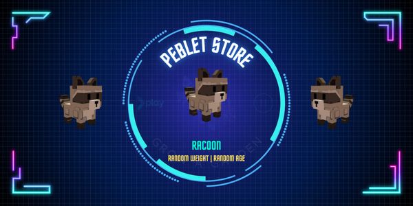 Raccoon | Racoon | Rakun - Grow A Garden