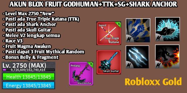 Akun Blox Fruit Godhuman+TTK+SHARK ANCHOR+SG+3 Mythical Fruit Level Max