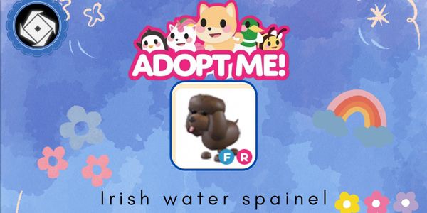 Irish Water Spaniel