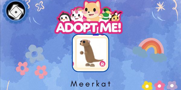 Meerkat